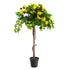 Artificial Yellow Bougainvillea Plant
